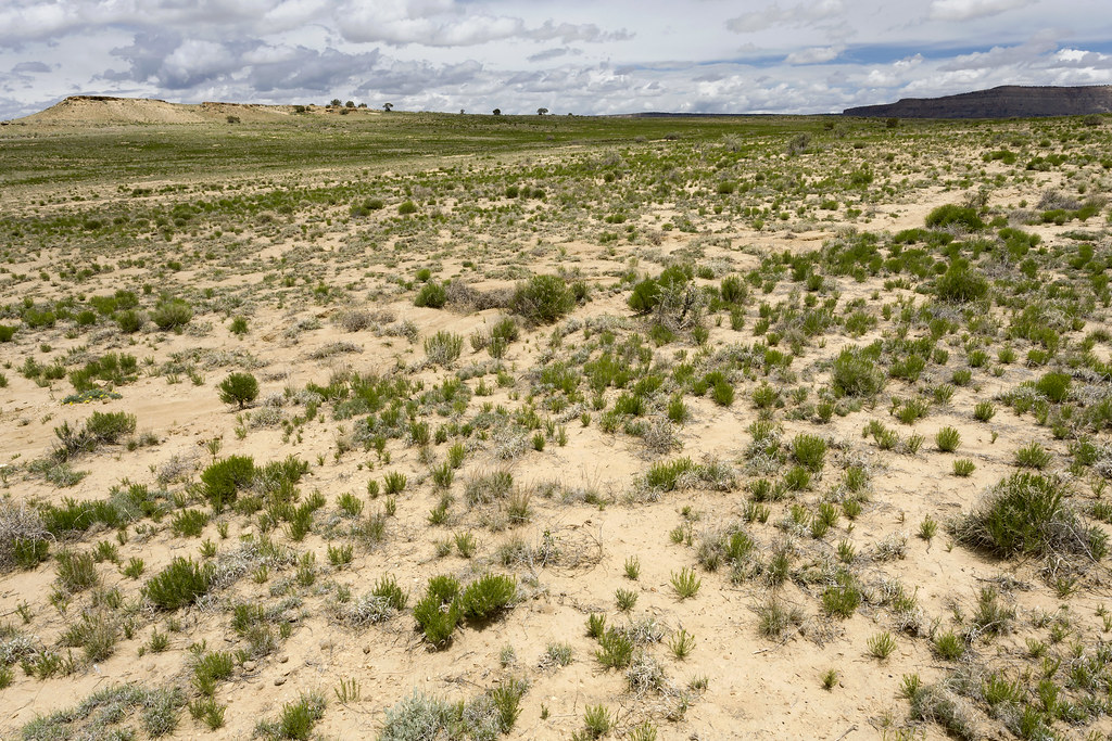Near Rincon Marquez Between Torreon and Rincon Marquez nea… Flickr