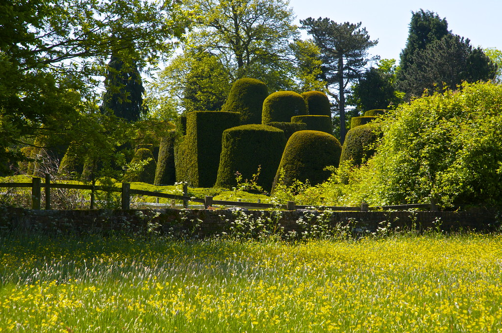 Packwood House The famous yews at this National Trust prop… Flickr