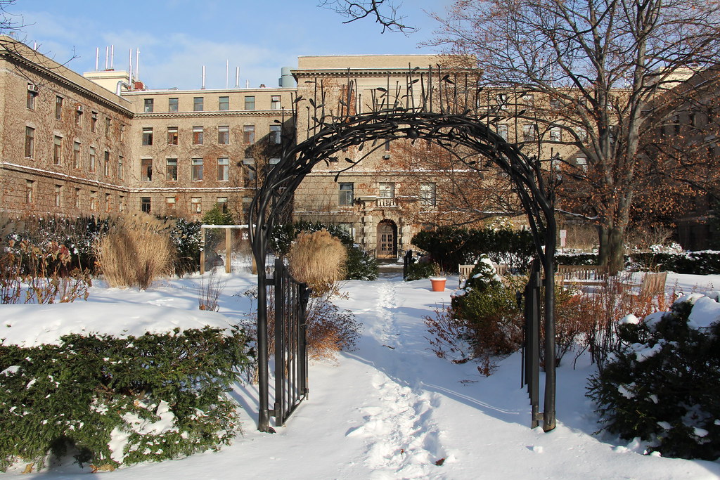 Plant Science building of Cornell The creepers on the buil… Flickr