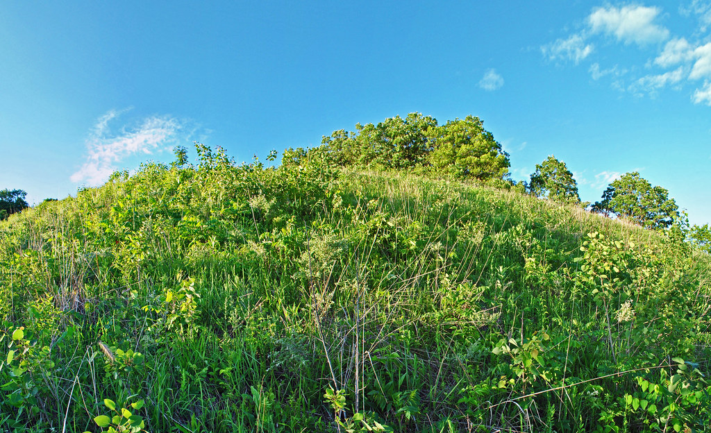 FiveMile Bluff Prairie State Natural Area Pepin Co., WI Aaron