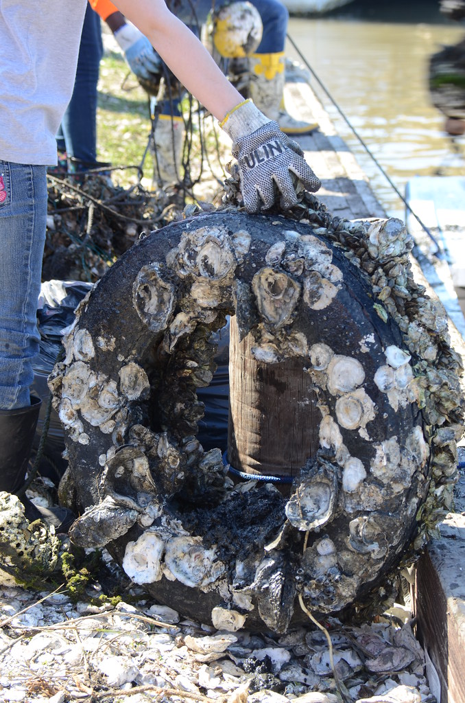 Crab Trap Rodeo 02.15.2014, Dularge, La 292 For image cont… Flickr