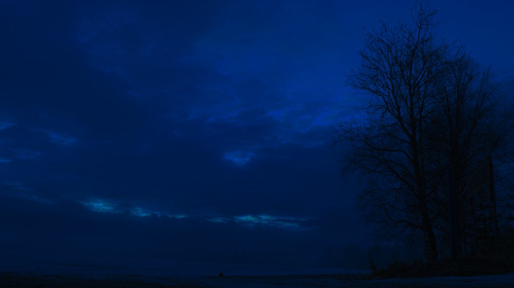 Misty night at the river Had a really misty weather last n… Flickr