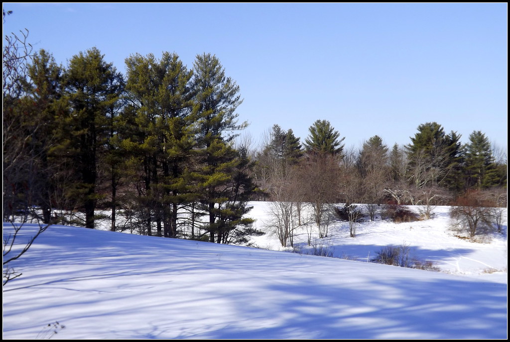 Skyline Farm, North Yarmouth, February 8, 2014 (23) Flickr
