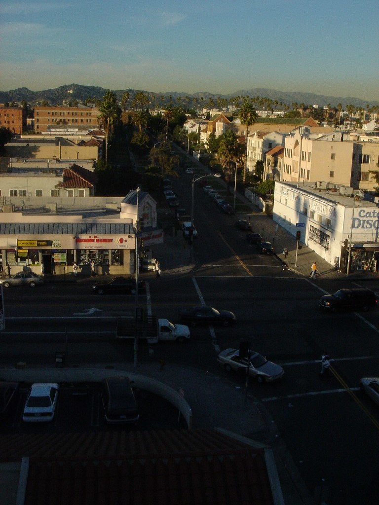 200511 Catalina Gardens (12) Michael Sevon Flickr