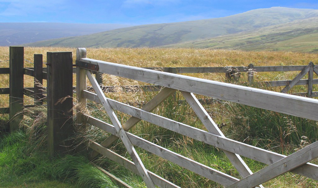 Scottish Fence Blue Sky4 Dupczak Flickr