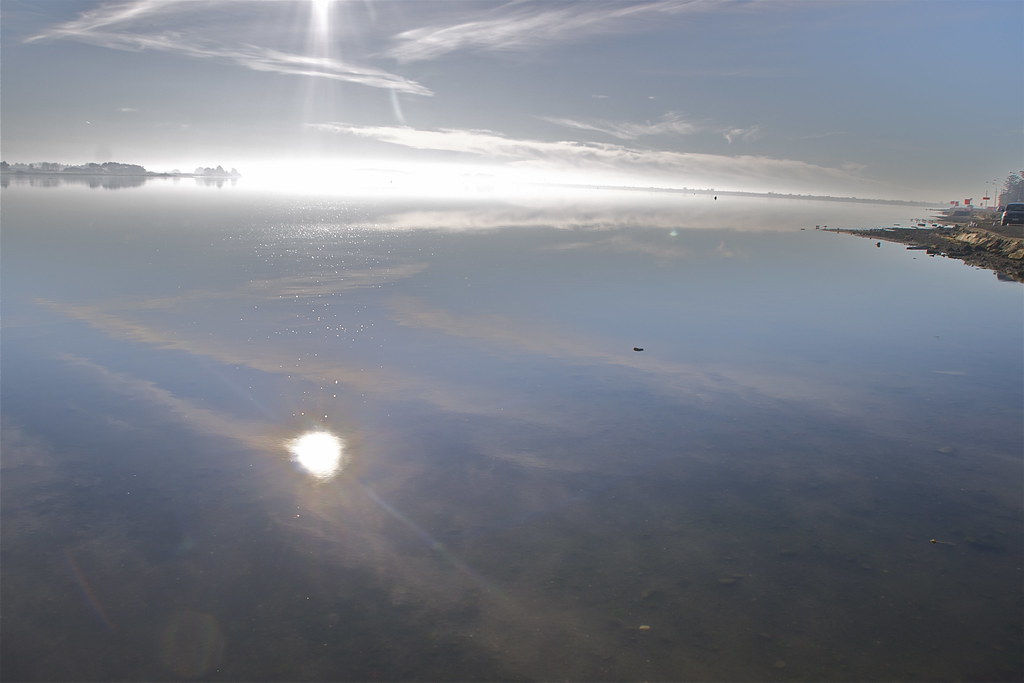 misty morning HeathcoteAvon Estuary Christchurch New Ze… Flickr