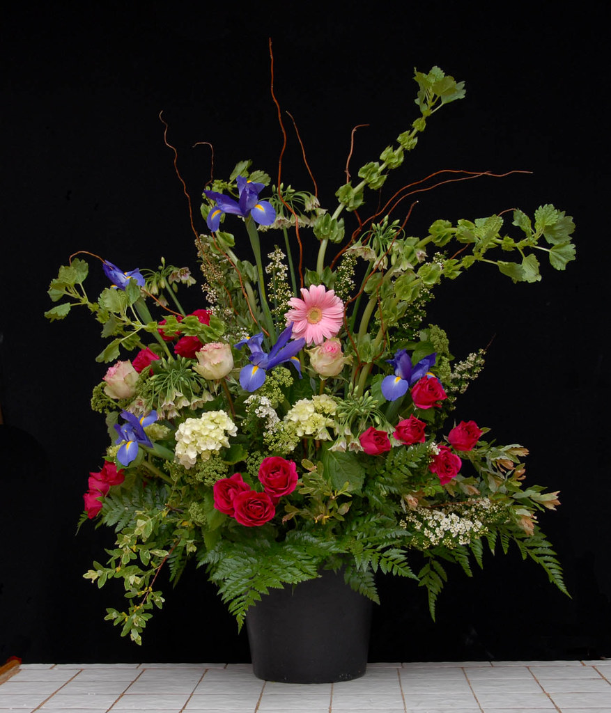 Great Flowers of Late Spring Great Flowers of late Spring … Flickr