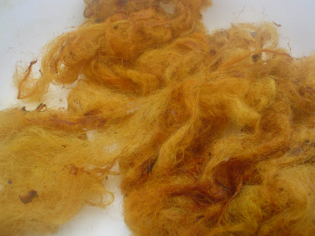 Fleece with an alum mordant and onion skin dye. CJordan Flickr