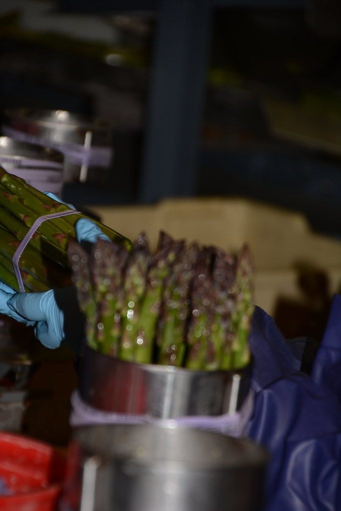 Asparagus farm tour (7) Asparagus Farm Tour Michigan State