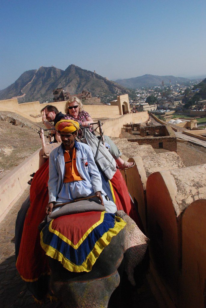 608365209 helen Harding Flickr