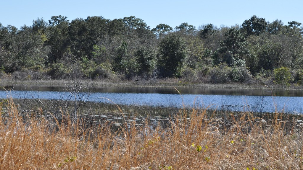 Lake Rogers Park_00004 Brand Photography Flickr