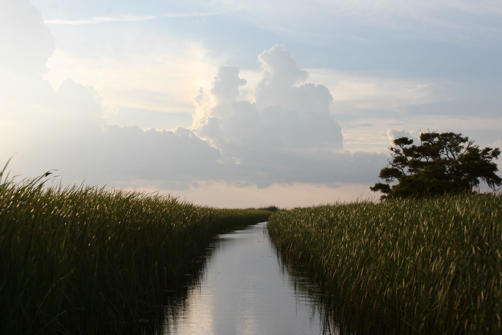 North Crichton, Mobile, AL, USA Sunrise Sunset Times