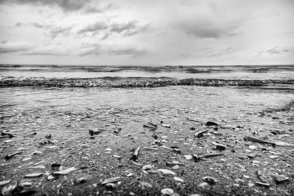 Marée Montante Variation sur le thème de la marée montante… Flickr