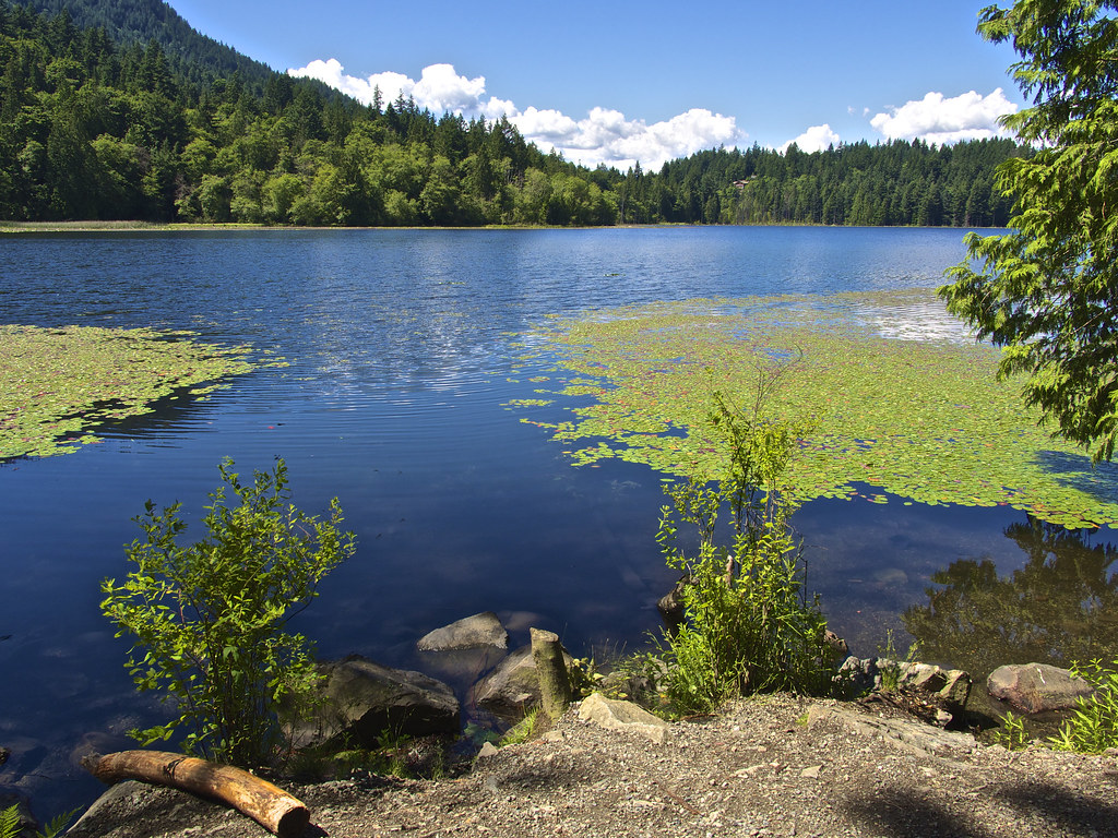 Bowen Island(Killarney Lake), Jul.7 Flickr