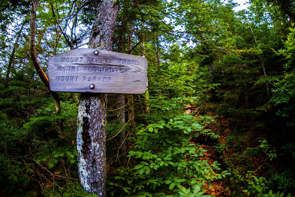 White Mountains, NH Dry River/Crawford Notch. Hiking on th… Flickr