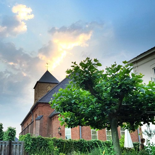 Evening in the garden Jos Buivenga Flickr