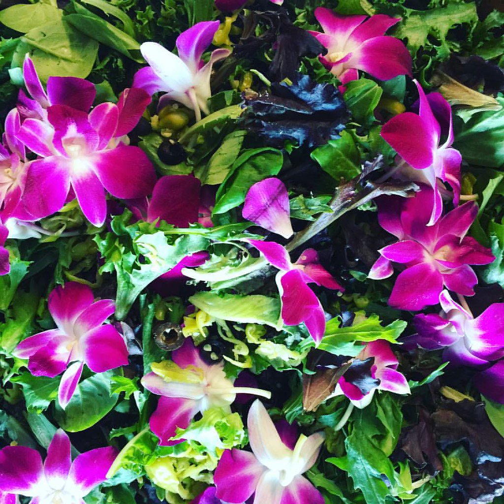 Edible orchids! Love them in salads and great for weddings… Flickr