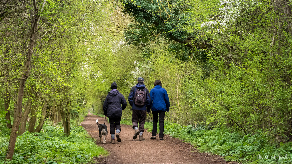 IMG_3531 Back on the The Southwell Trail, near Maythorne (… Flickr