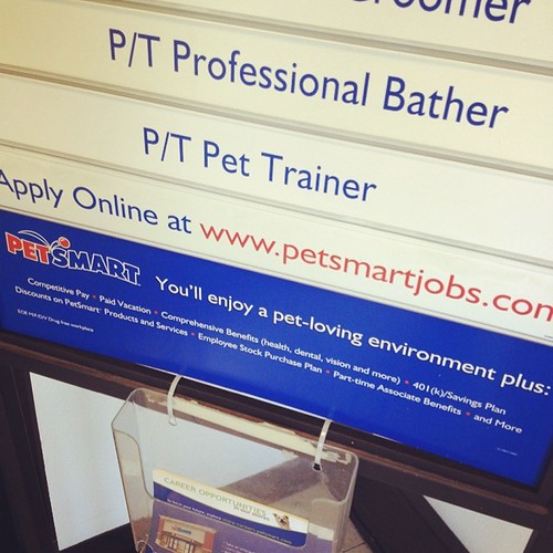 I could totally be a parttime pet trainer. I have tons of… Flickr