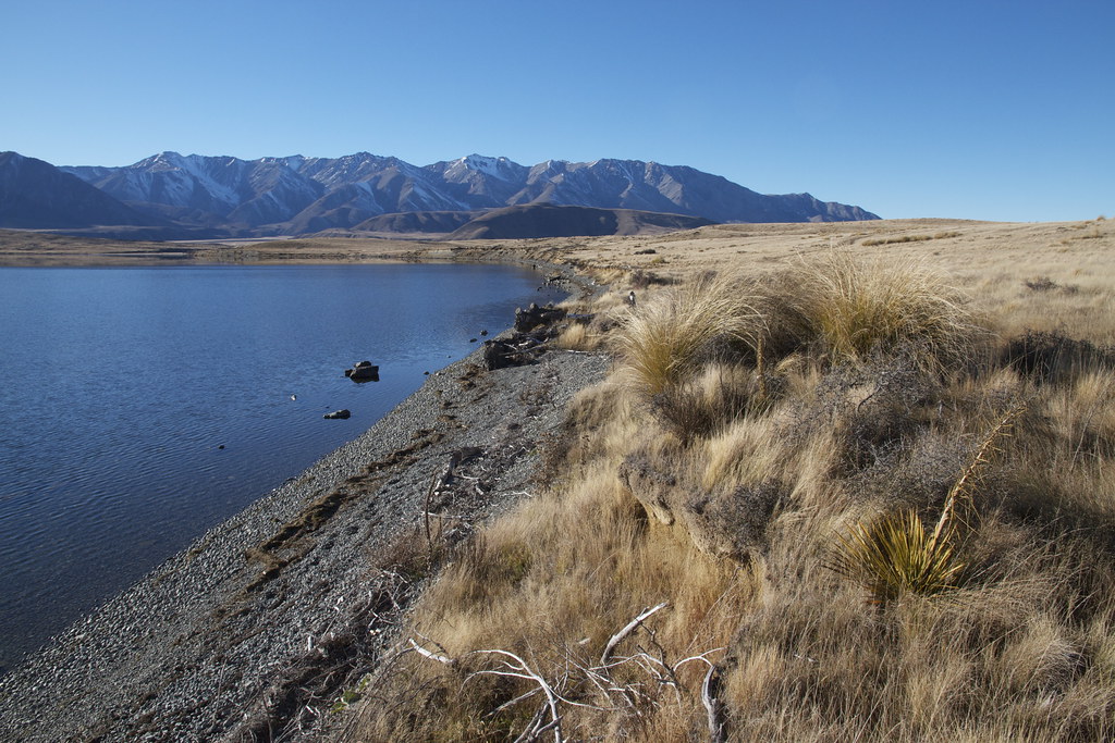 Lake Heron Canterbury New Zealand Lake Heron is the larges… Flickr