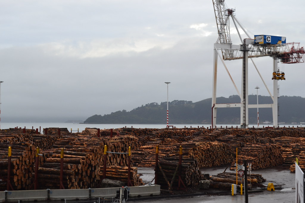 Timber in New Zealand Pine timber being exported from Well… Flickr