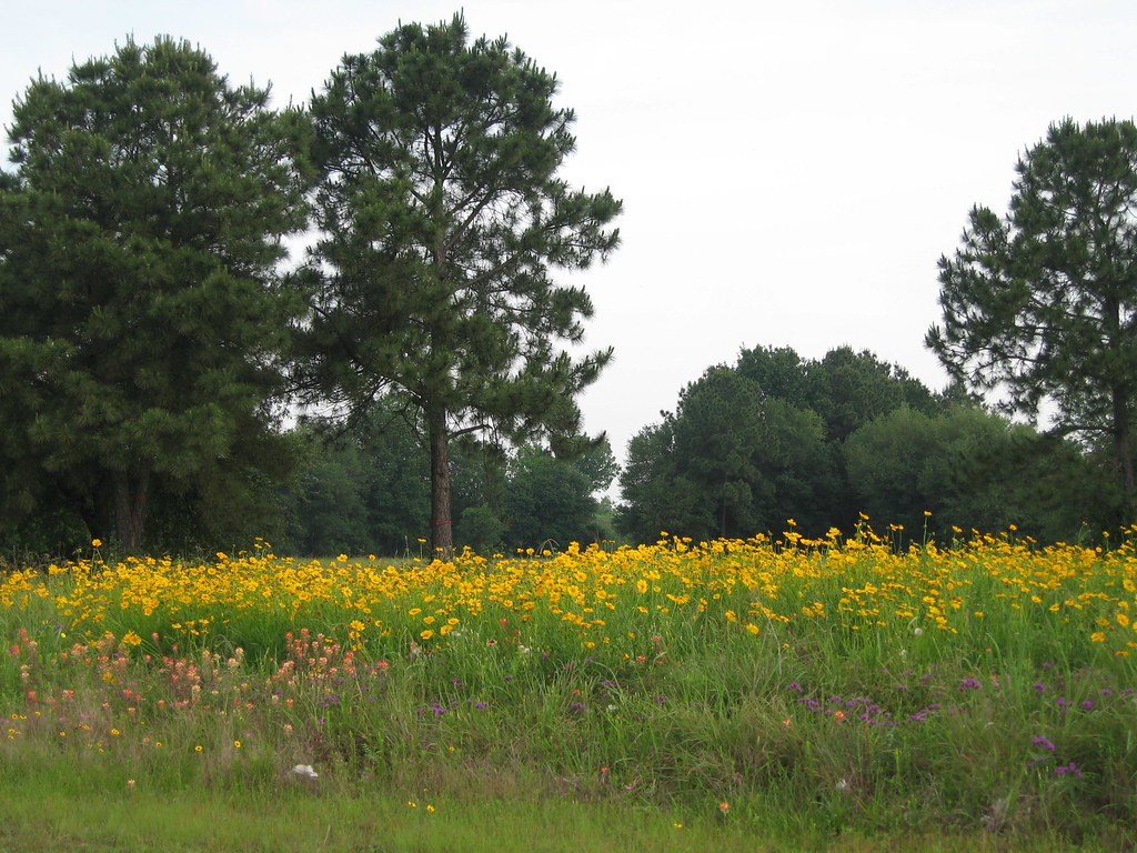 Elevation of Warda, TX, USA Topographic Map Altitude Map