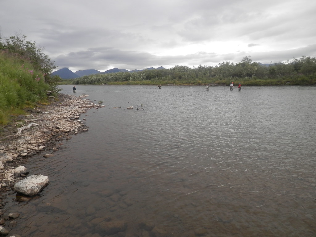 Goodnews Alaska 2014 079 OLYMPUS DIGITAL CAMERA Flickr