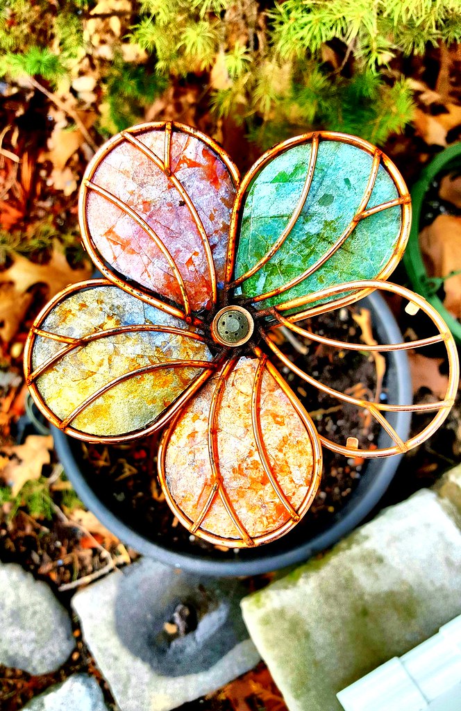 Whimsical Flower Lots of filters were used to brighten thi… Flickr