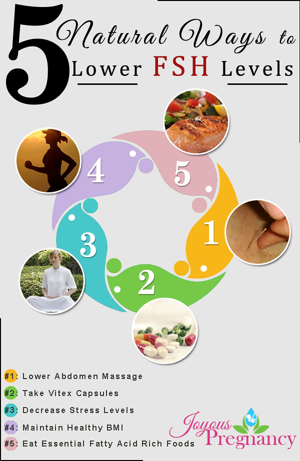 5 Natural Ways to Lower High FSH Levels and Boost Fertilit