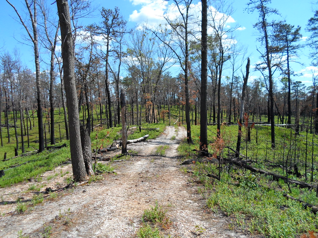 goshen pond camping and Jemima mount hike 030 woodjin Flickr