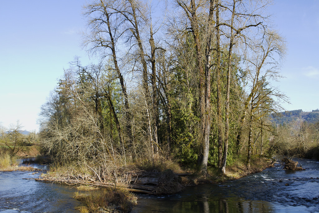 Crabtree Creek Scio, Oregon Crabtree Creek Scio, Oregon Flickr
