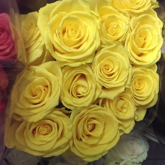 Yellow roses in store St Annes Flickr