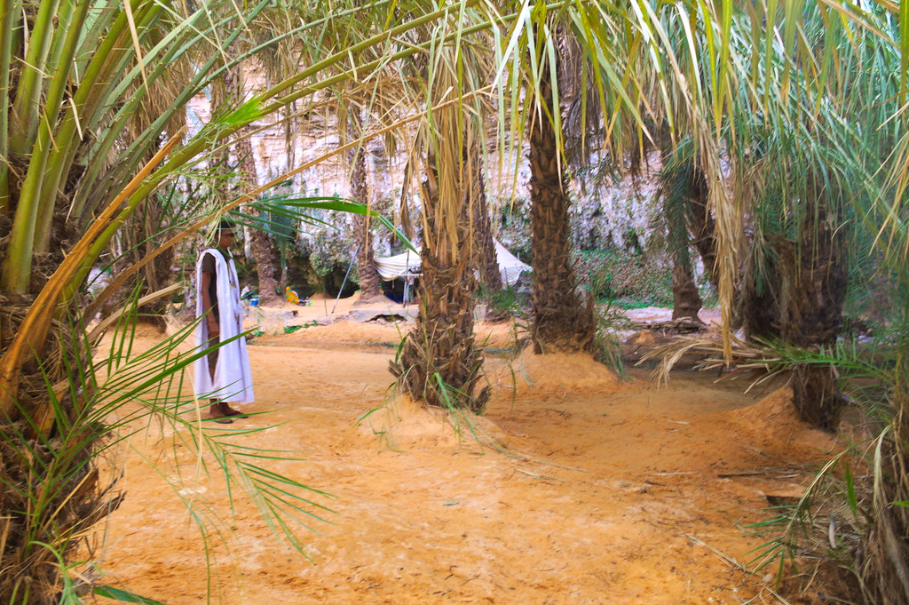 Alioune In Terjit It was much cooler in the shade of the o… Flickr