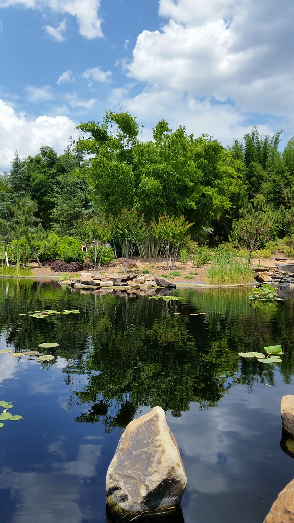 Asian Bamboo Gardens Jacksonville Zoo and Gardens Duval Co… Flickr