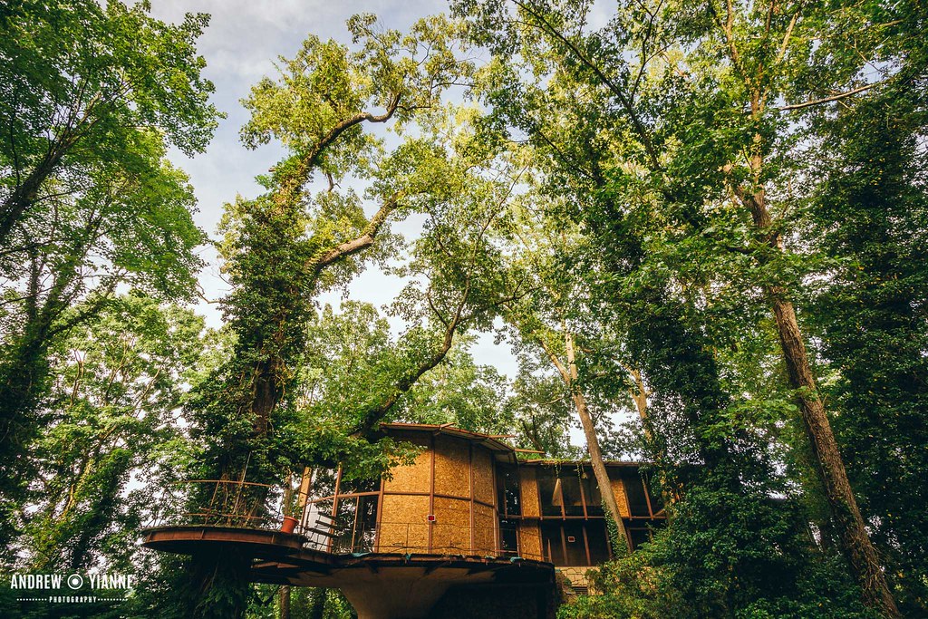 Elevation of Rutledge Rd, Charleston, WV, USA Topographic Map