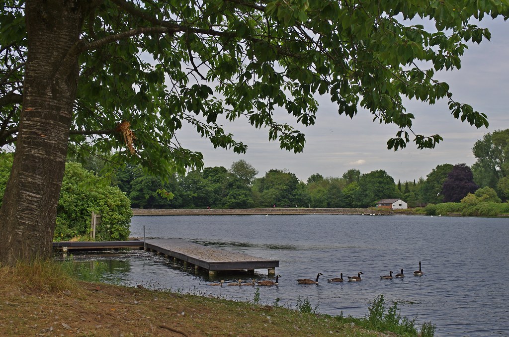 97912L Coate, Swindon, 26.6.2014 Coate Water Country Park