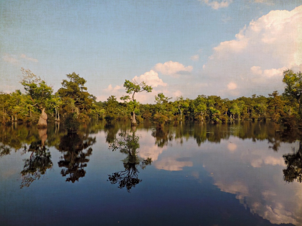 Merchant's Millpond at Sunset Gates County, North Carolina a photo