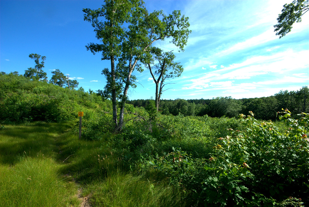 Barrens Emmons Creek Barrens Wisconsin State Natural Area … Flickr