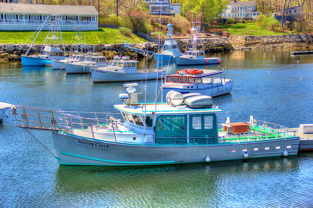 Bunny Clark Taken at Perkins Cove in Ogunquit, Maine, USA Robert