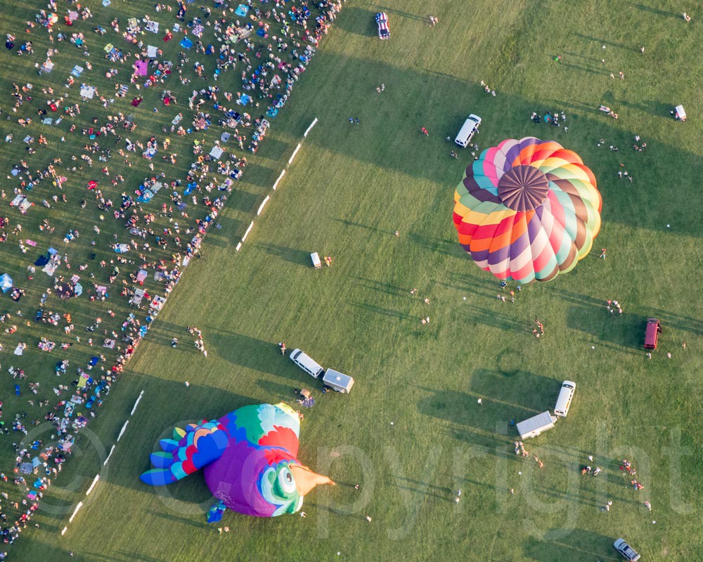 Hot Air Balloons, 2014 QuickChek New Jersey Festival of Ba… Flickr