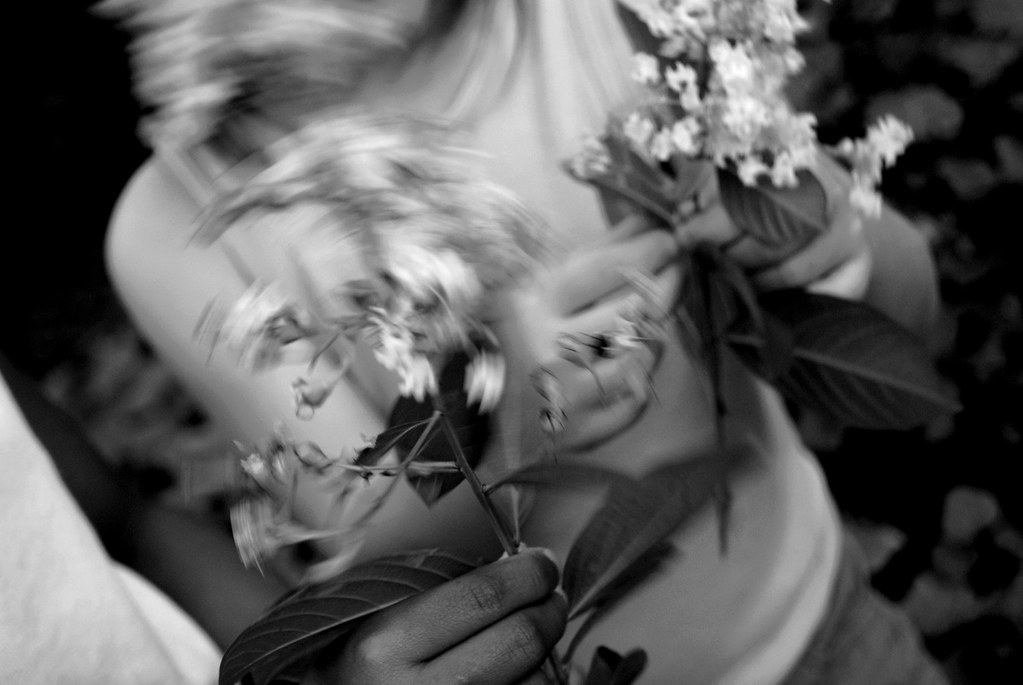 flowers Hannah Roberts Flickr