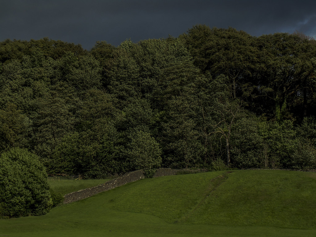 green Kilbarchan park Marilyn Connor Flickr