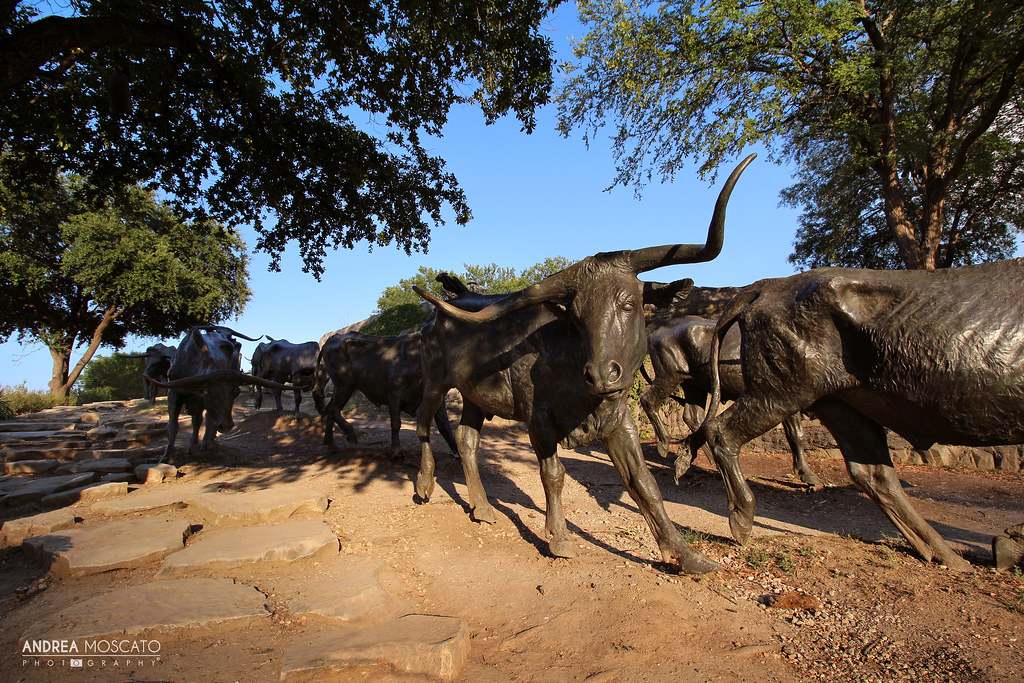 Bryan Place, Dallas, TX, USA Sunrise Sunset Times
