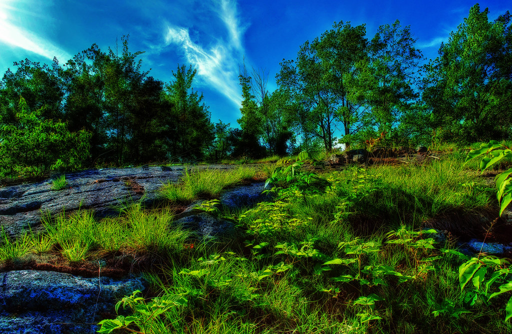 Hagar Mountain State Natural Area Oconto Co., WI Aaron Carlson Flickr