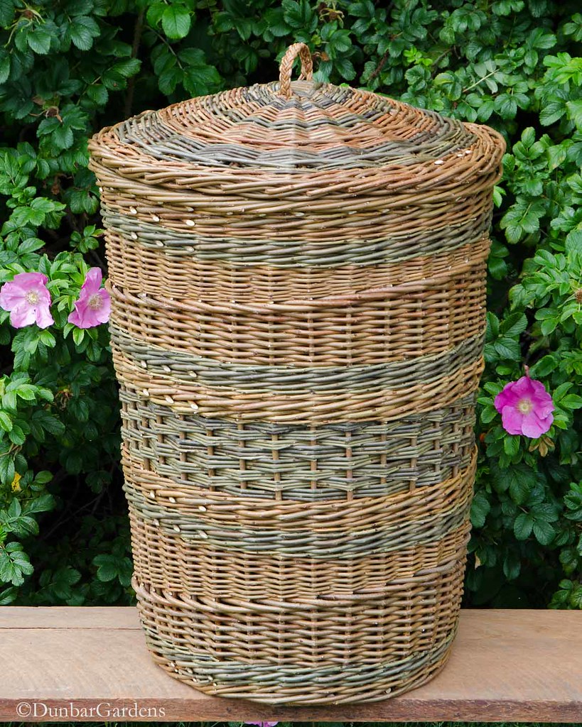 willow hamper made by Katherine Lewis from farm grown will… Steve