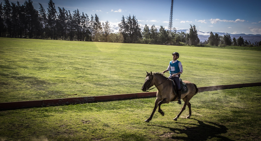 VI Chone 2014/Quito Polo Club (Checa) © Luis Fernando Padr… Flickr