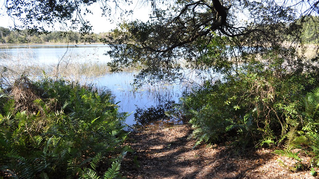 Lake Rogers Park_00009 Brand Photography Flickr