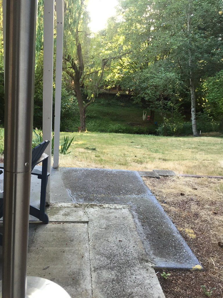 BACKYARD REVIEW PICTURES 6/16/2015 Flickr