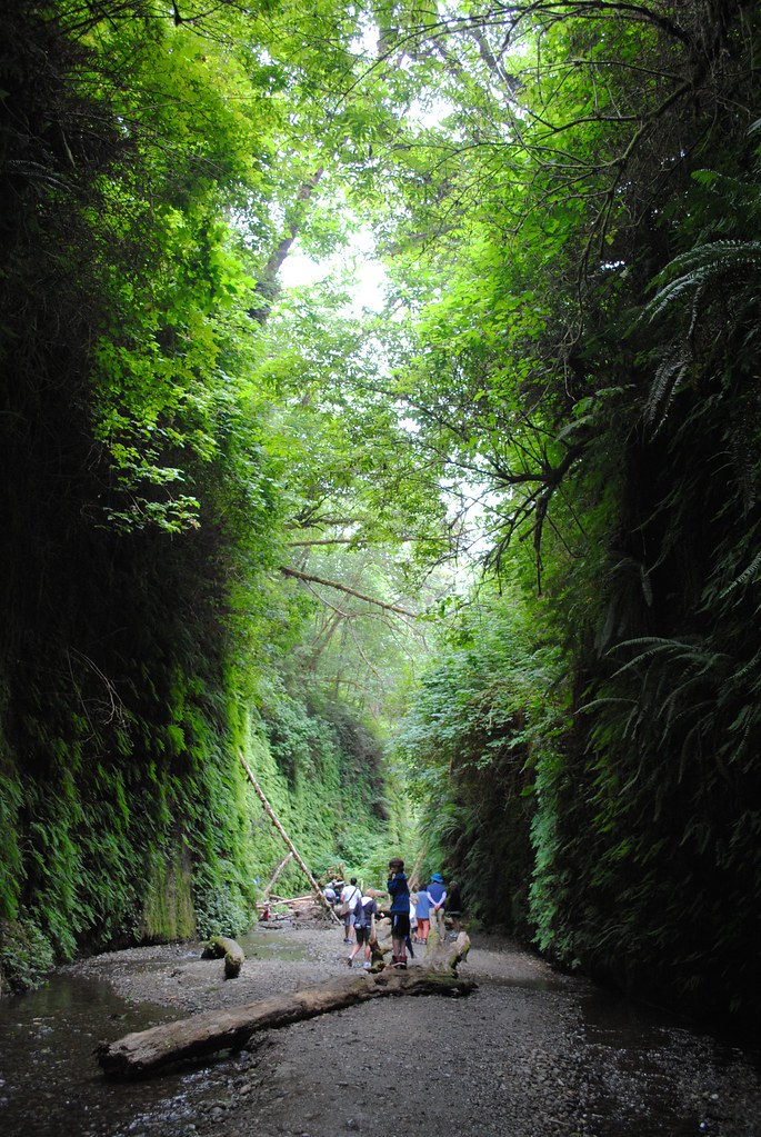 fern valley, california june 2014 breeee_west Flickr