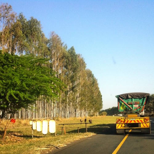Handcarved wooden trays for sale at many spots along a ce… Flickr